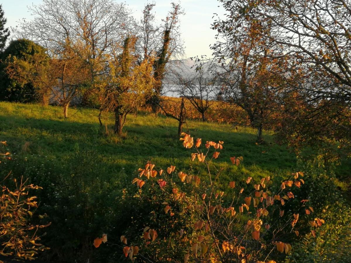 Haus Meersburg Garten Luaran gambar