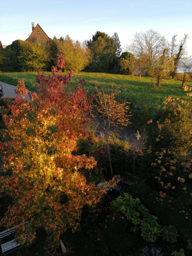 Haus Meersburg Garten Luaran gambar