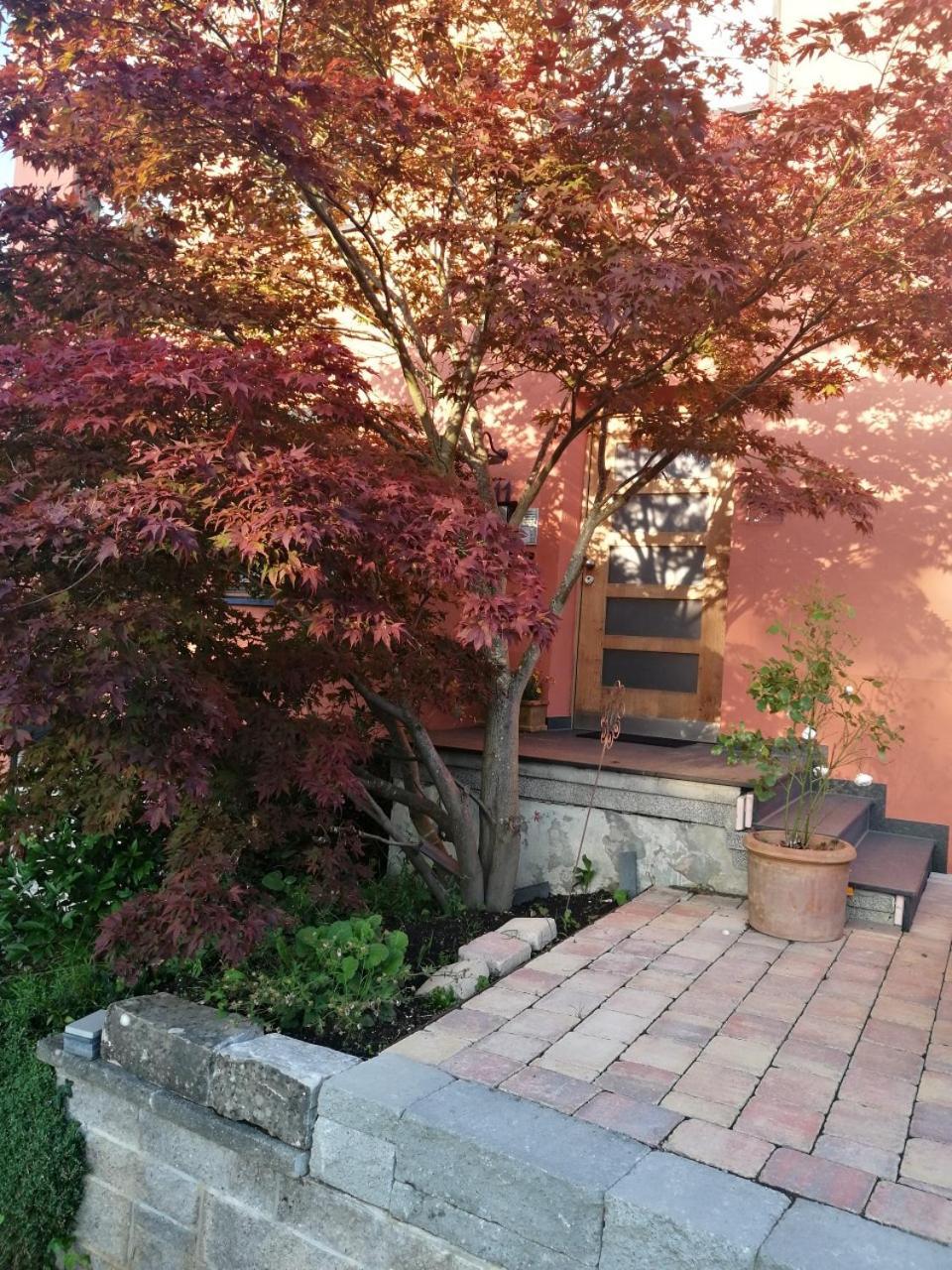 Haus Meersburg Garten Luaran gambar