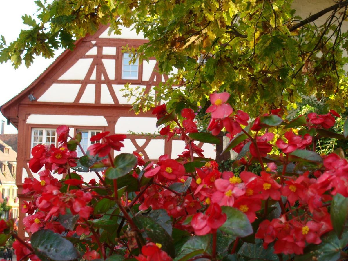 Haus Meersburg Garten Luaran gambar